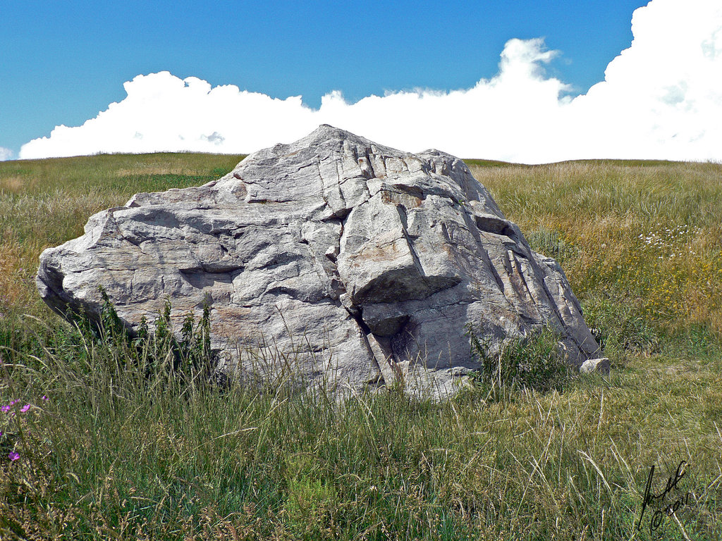Turtle Rock